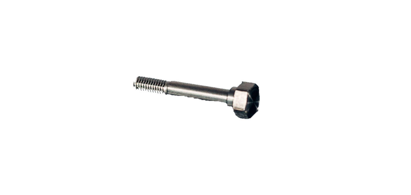 Wagner's Must - Have Screw for GM 4700AC Air Assist Airless Spray Gun